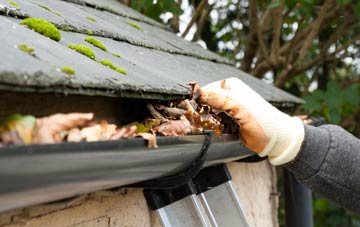 gutter cleaning Waverton