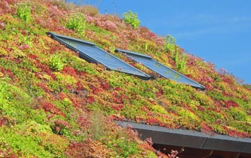 Waverton living roof systems