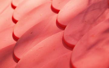 Waverton plastic roof costs