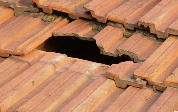 roof repair Waverton